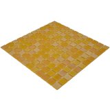 PL25311 YELLOW - AquaMo