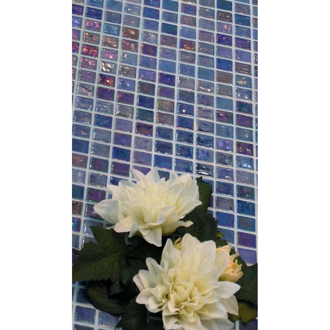 PL25304 COBALT