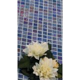 PL25304 COBALT