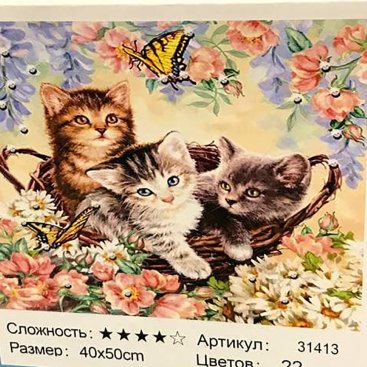 Котики в корзинке 40х50 - Фото Котики в корзинке 40х50 оптом, фото 3257