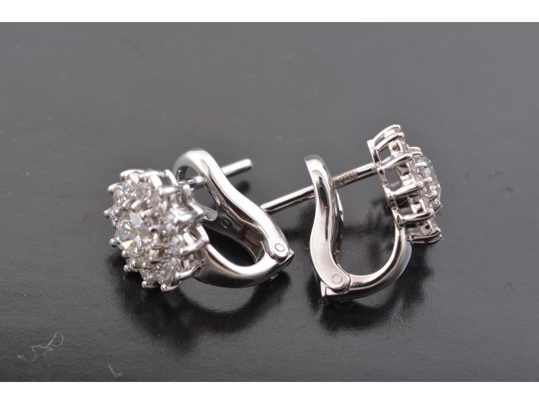 Сережки - Багира