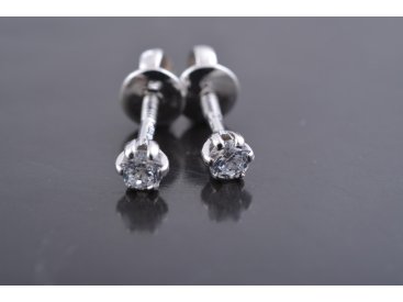 Сережки гвоздики - Купити