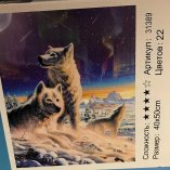 Волки 40х50 оптом, фото 3462