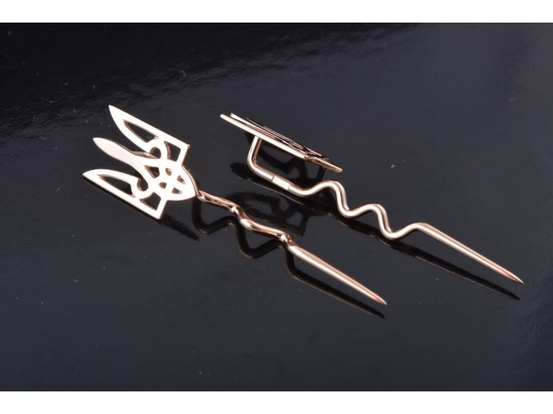 Брошка - Фото2 Брошка - Багира