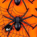 Павук скакунчик 12 аркушів, 48 штук, 6 см - Pobut