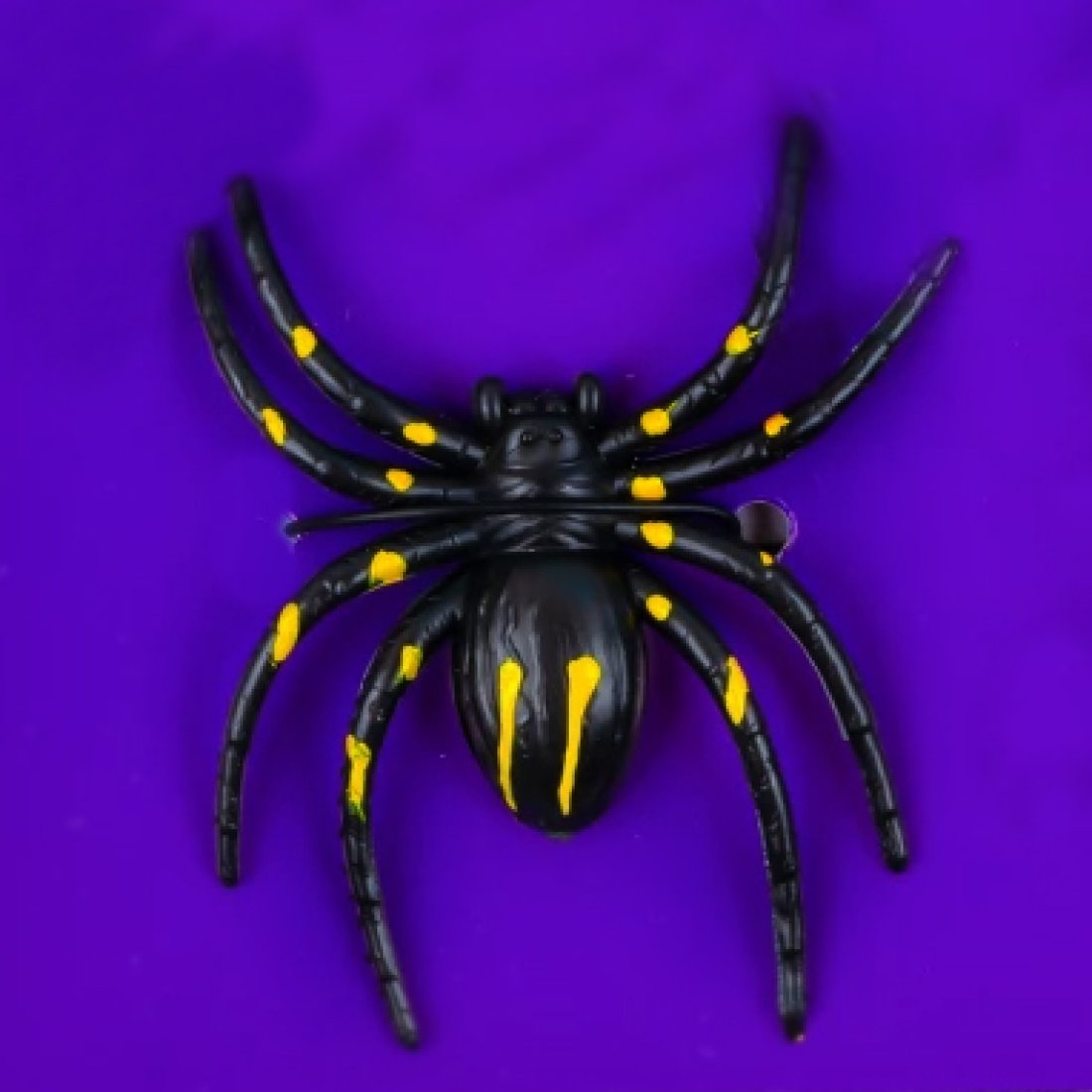 Павук тарантул 6 штук, 6 см - Pobut