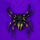 Павук тарантул 6 штук, 6 см - Pobut