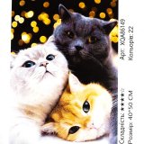 Алмазна мозаїка Три Кота 40*50 см