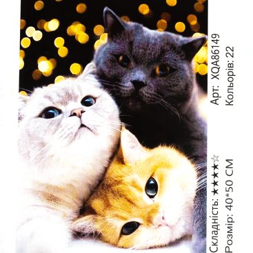 Алмазна мозаїка Три Кота 40*50 см - Купити