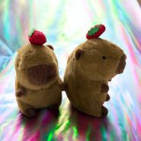 Капибара с клубничкой 25см оптом, фото 1241