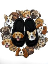 Патчі-песики на анатомічні капці з липучкою Family story