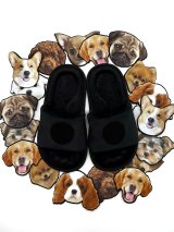 Патчі-песики на анатомічні капці з липучкою Family story