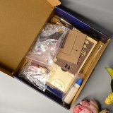 3D Румбокс Чарівний будинок зі скарбами DIY Dollhouse + Пилозахисний купол