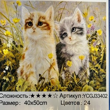 Котеньки 40х50 - Фото Котеньки 40х50 оптом, фото 2142