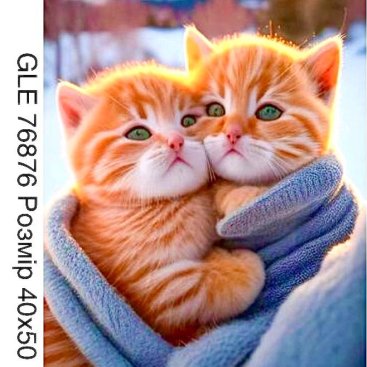 Котята 40х50 - Купить