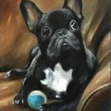 Бульдожка 30х40 оптом, фото 14151