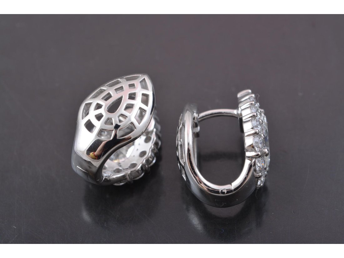 Сережки з діамантами - Багира