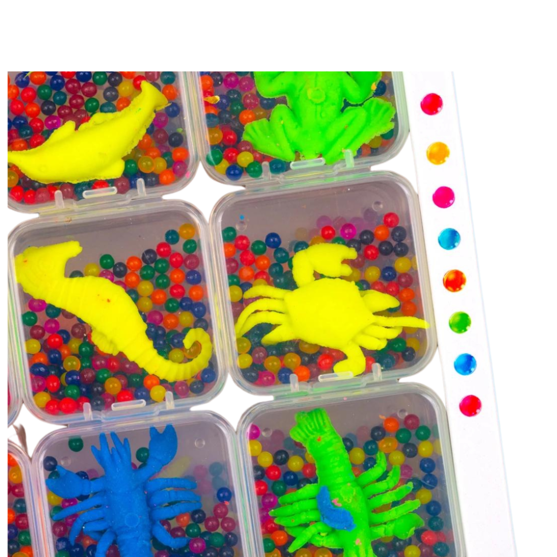 Розтишки в коробочках Морський світ - Pobut