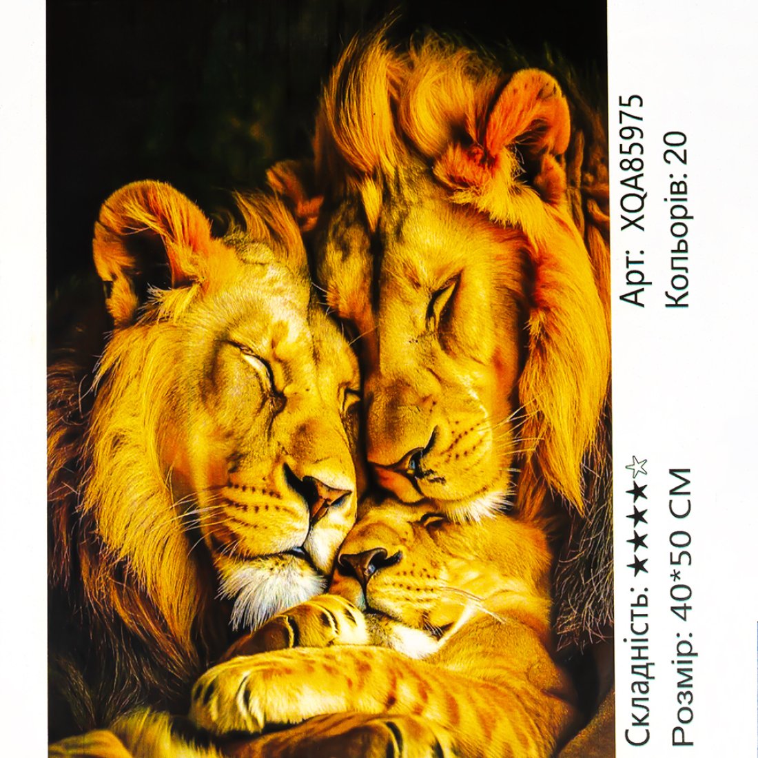 Алмазна мозаїка родина Львів 40*50 см