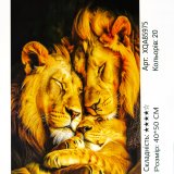 Алмазна мозаїка родина Львів 40*50 см