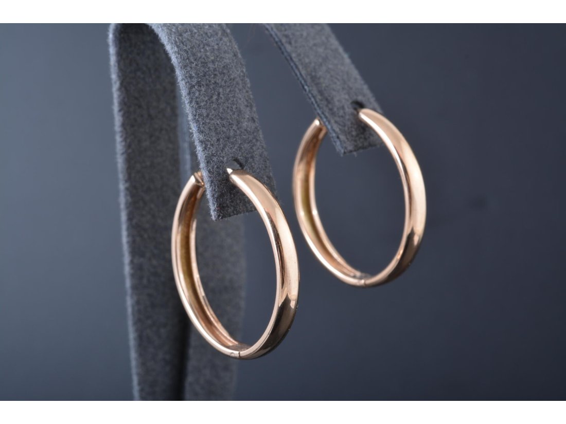 Сережки жіночі &quot;Кільця&quot; - Багира