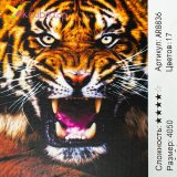 Алмазная мозаика Оскал тигра 40*50 см оптом фото 01