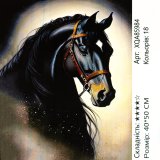 Алмазна мозаїка Чорний кінь 40*50 см