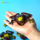 Силиконовые жабы Коричнево-зелёные оптом фото 02
