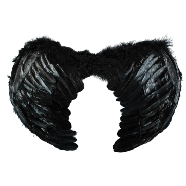 Крила ангела з пухом чорні 40×55 см - Купити