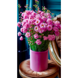 Алмазна мозаїка квіти Гіпсофіли 40*50 см