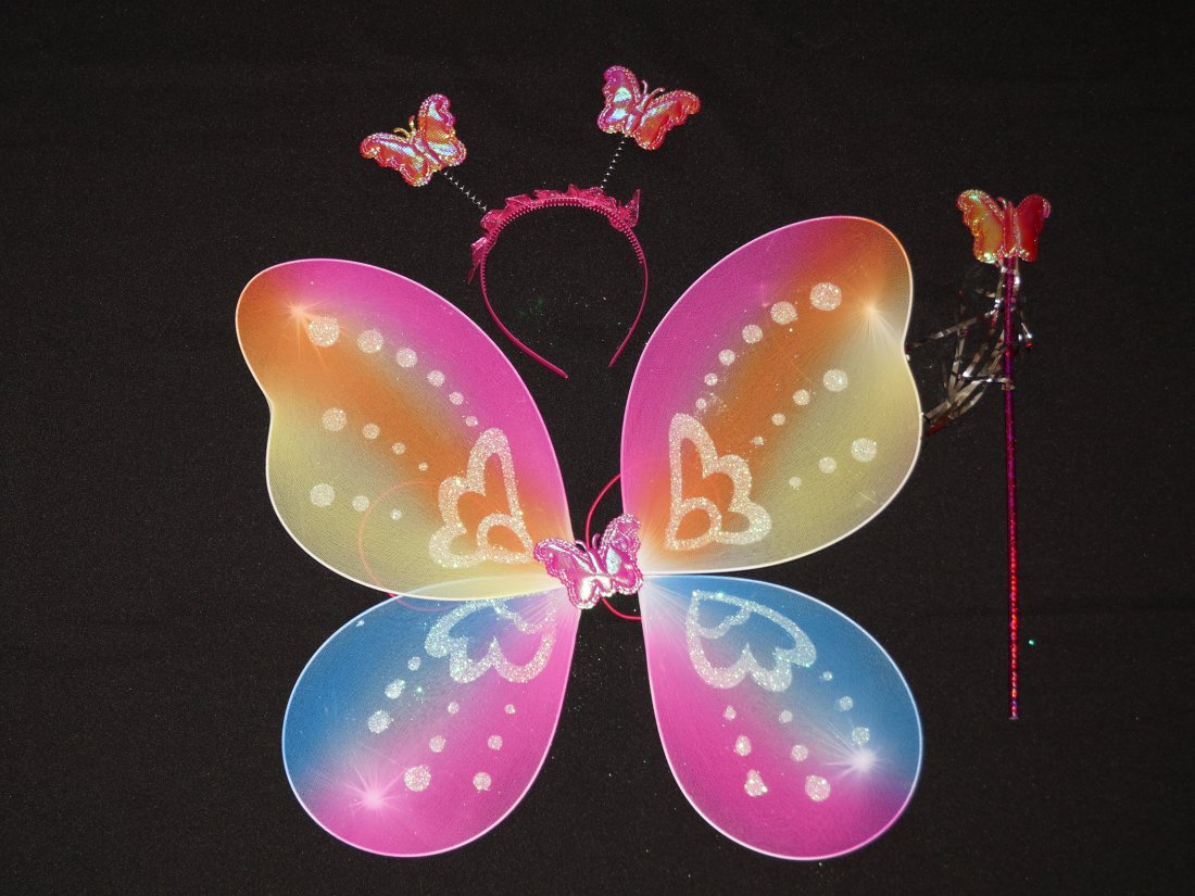 Карнавальні крила метелика, веселка.