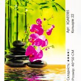 Алмазна мозаїка Орхідеї 40*50 см