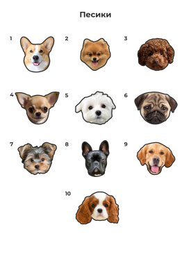 Патчі-песики на анатомічні капці з липучкою Family story - Купити