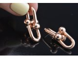 Сережки у стилі Tiffany