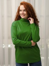Жіночий модний базовий гольф-водолазка 230208-22