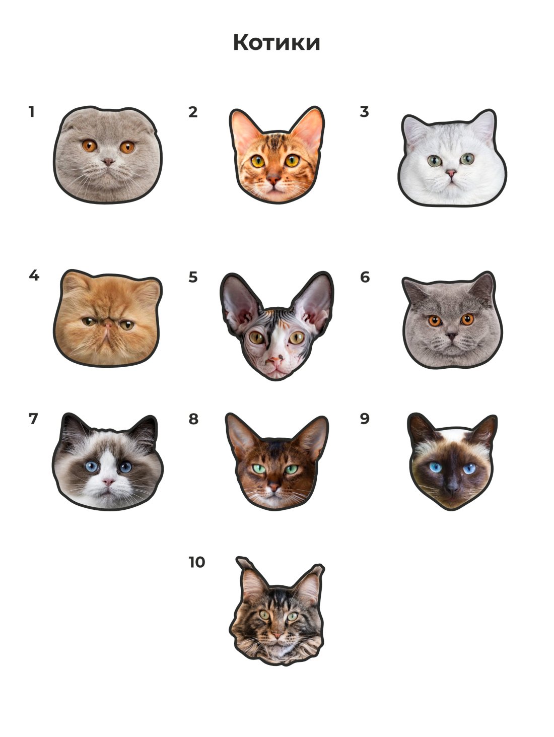 Патчі-котики на анатомічні капці з липучкою Family story