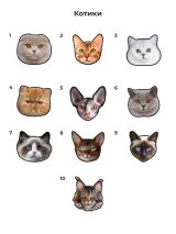 Патчі-котики на анатомічні капці з липучкою Family story