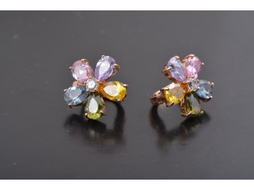 Сережки «Квітка - семибарвиця» - Купити