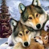 Стая 30х40 оптом, фото 45161