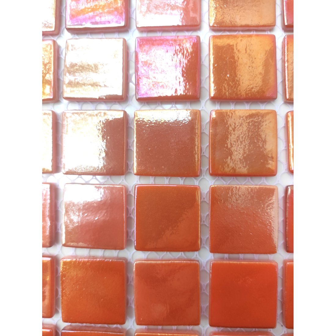 PL25324 ORANGE - AquaMo
