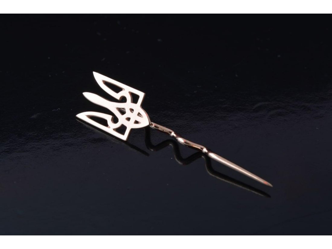 Брошка - Фото1 Брошка