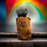 Капибара 25см оптом, фото 63334