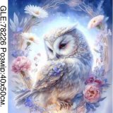 Сова 40х50