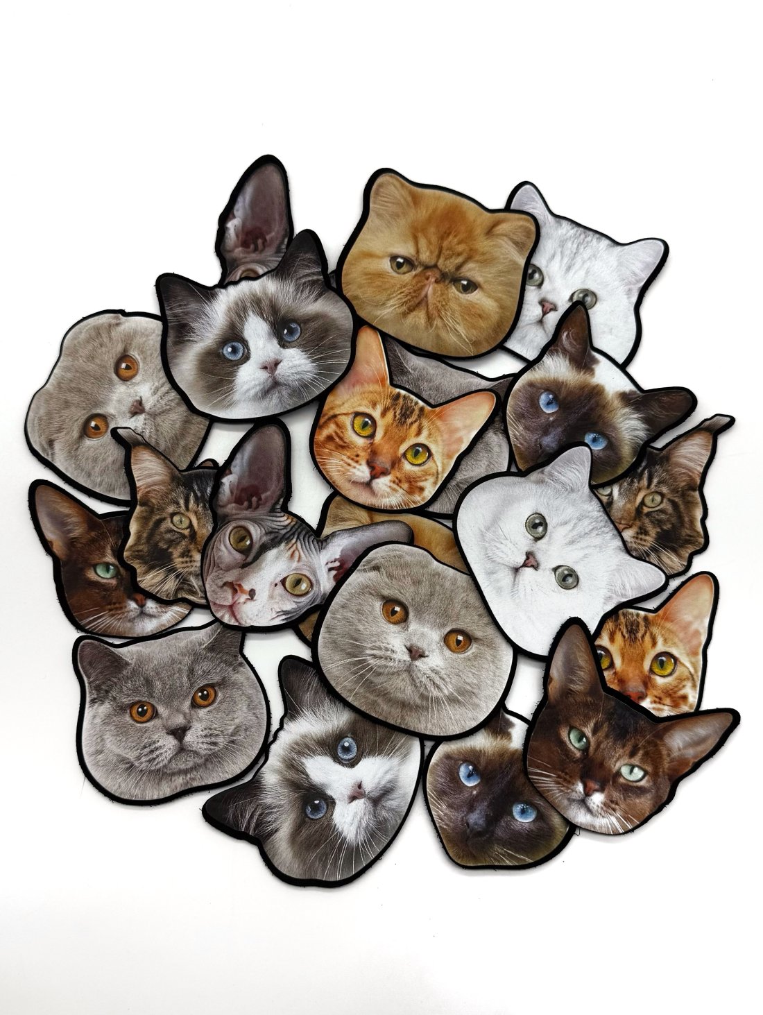 Патчі-котики на анатомічні капці з липучкою Family story - Family Story