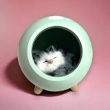 Ночник Котик в домике оптом, фото 2174